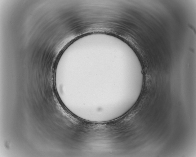 X0000102471038200808291600