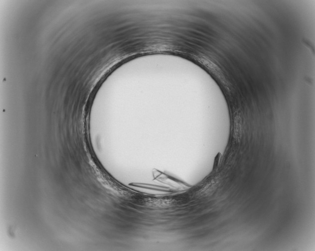 X0000102471039200808291600