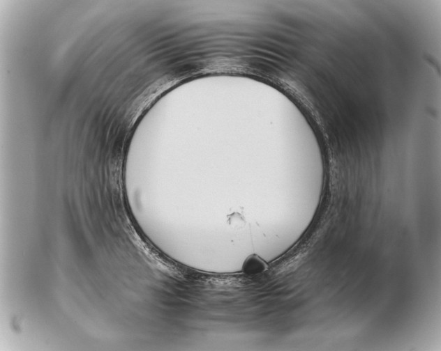 X0000102471041200808291600