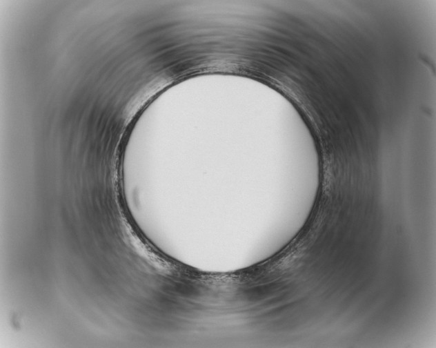 X0000102471042200808291600