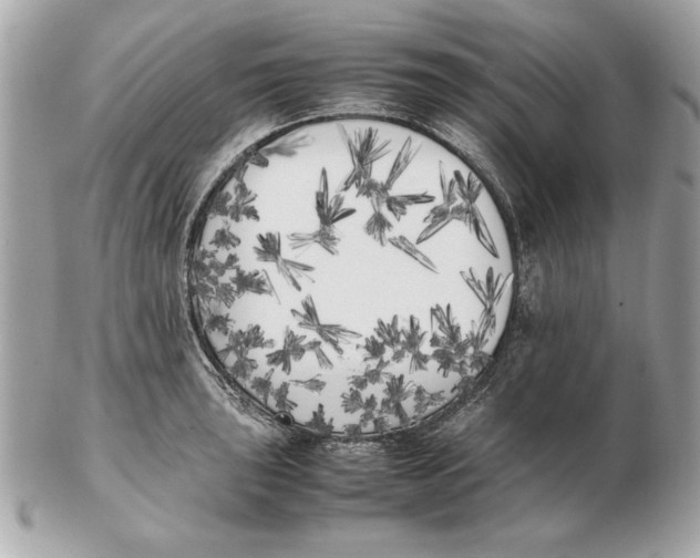 X0000102471043200808291600