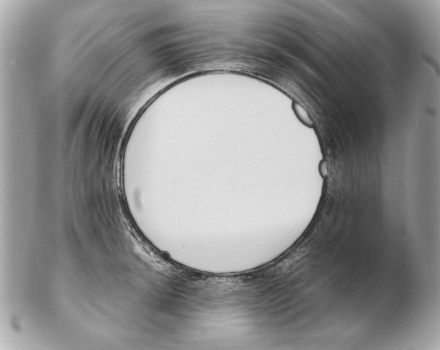 X0000102471044200808291600