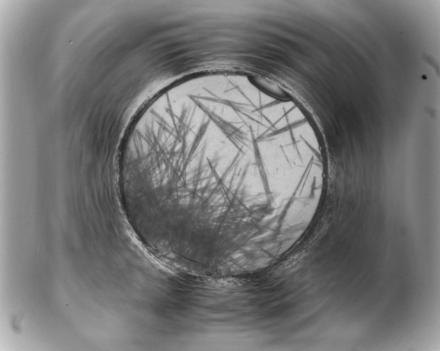 X0000102471045200808291600