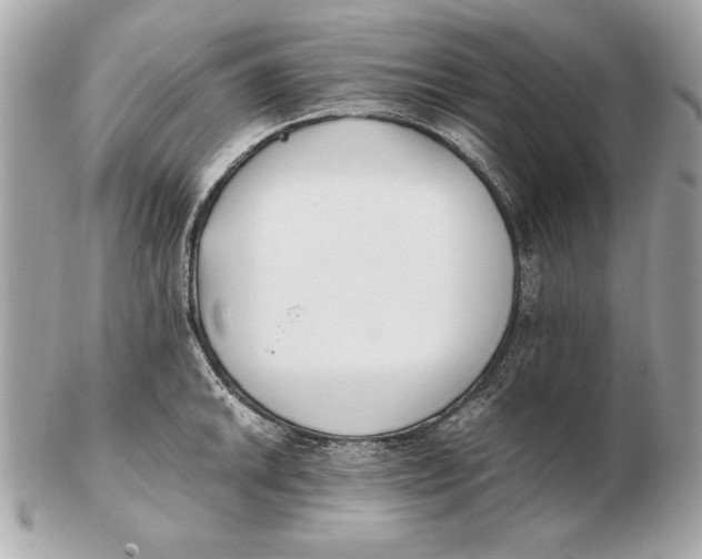 X0000102471046200808291600
