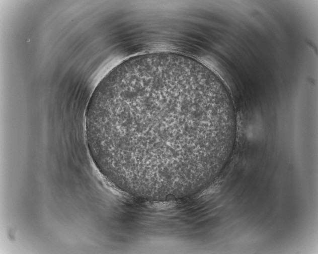 X0000102471047200808291600