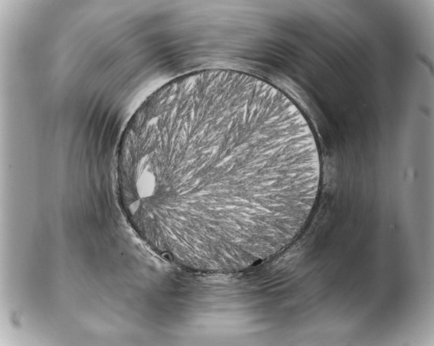 X0000102471048200808291600