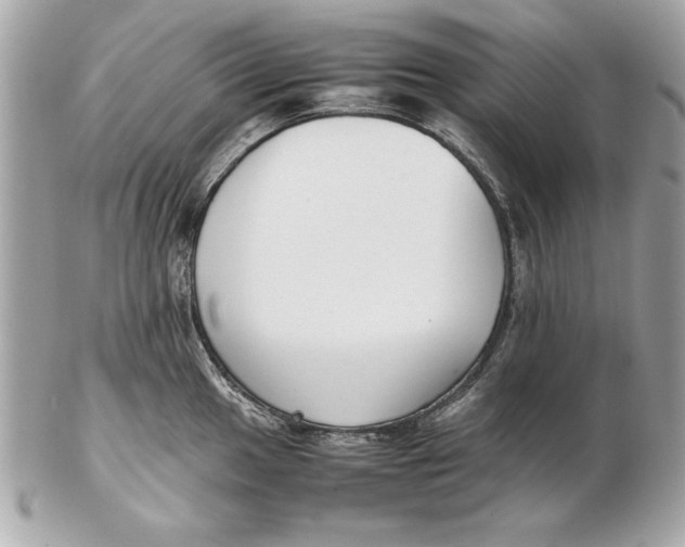 X0000102471049200808291600