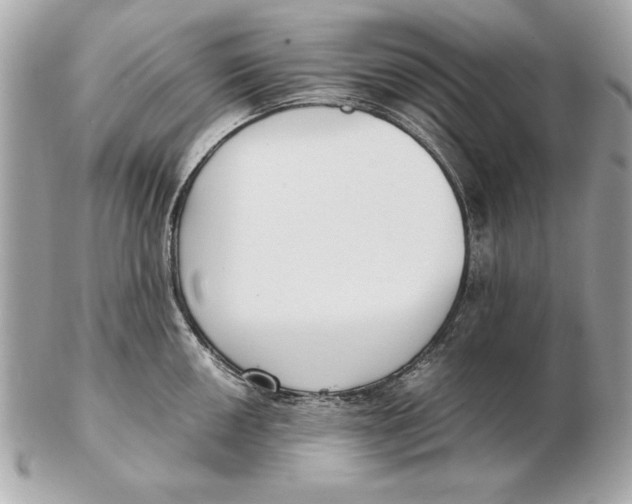X0000102471050200808291600