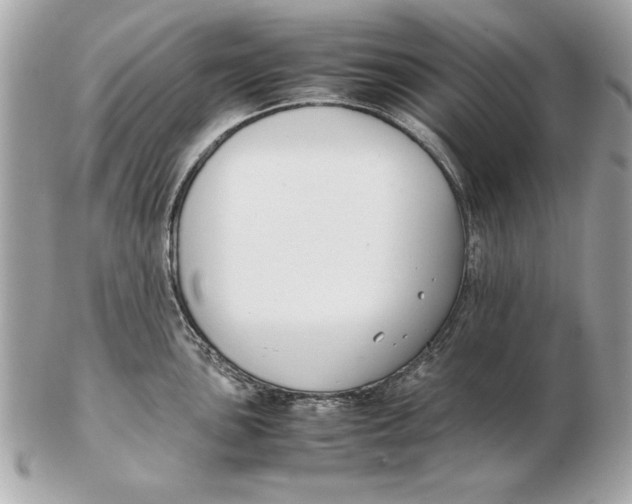 X0000102471051200808291600
