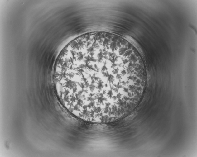 X0000102471052200808291600