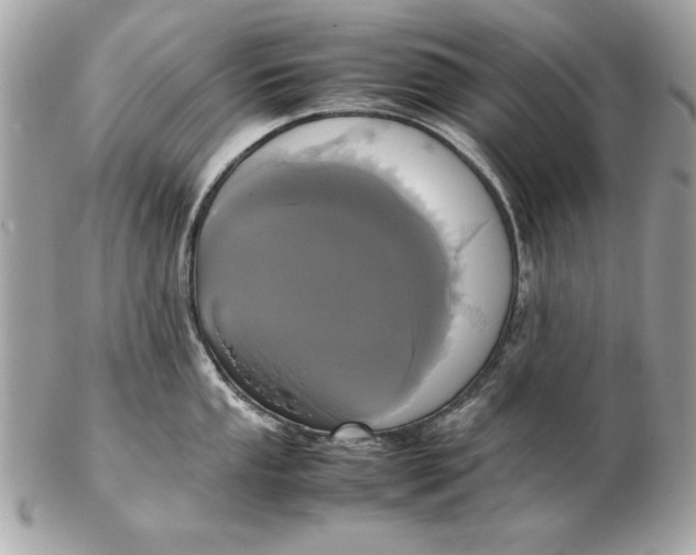 X0000102471053200808291600