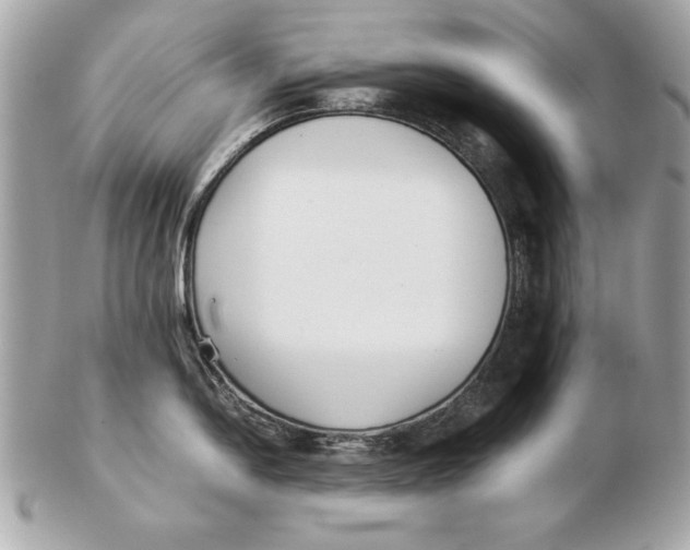X0000102471054200808291600