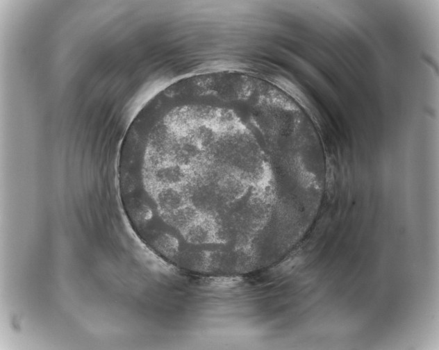 X0000102471055200808291600