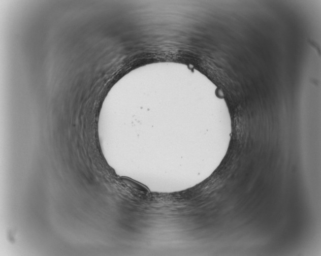 X0000102471057200808291559
