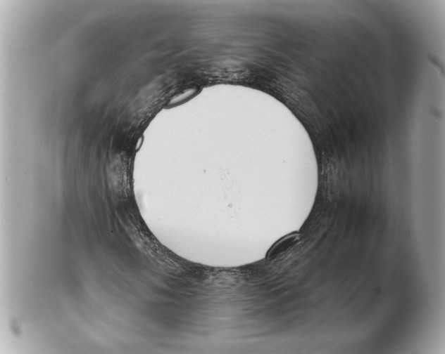 X0000102471058200808291559