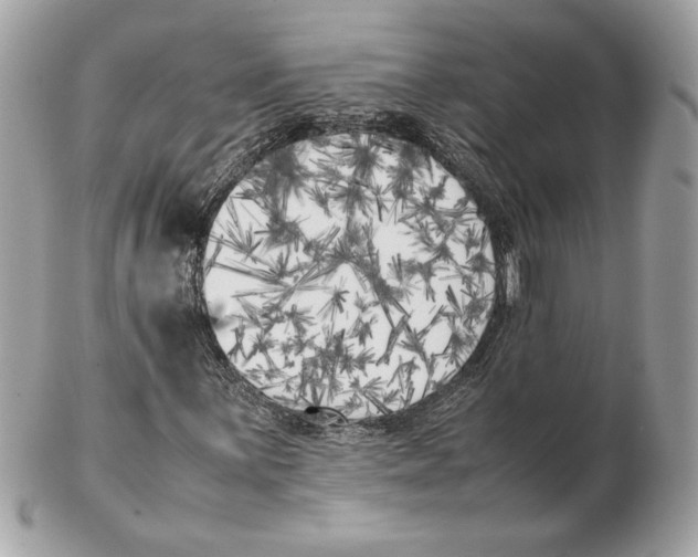 X0000102471059200808291559