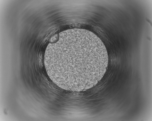 X0000102471060200808291559