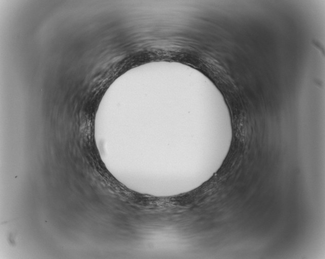 X0000102471061200808291559
