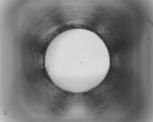 X0000102471062200808291559