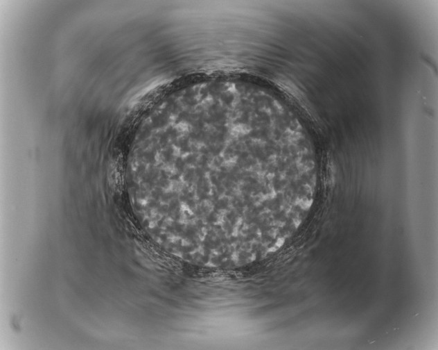 X0000102471063200808291559