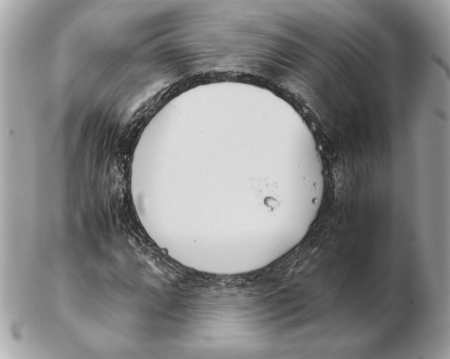 X0000102471064200808291559