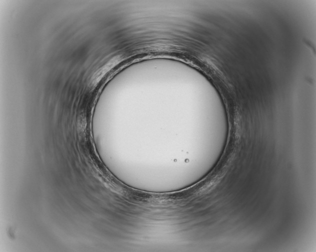 X0000102471065200808291559