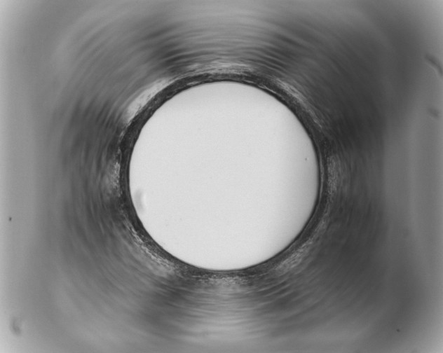 X0000102471066200808291559