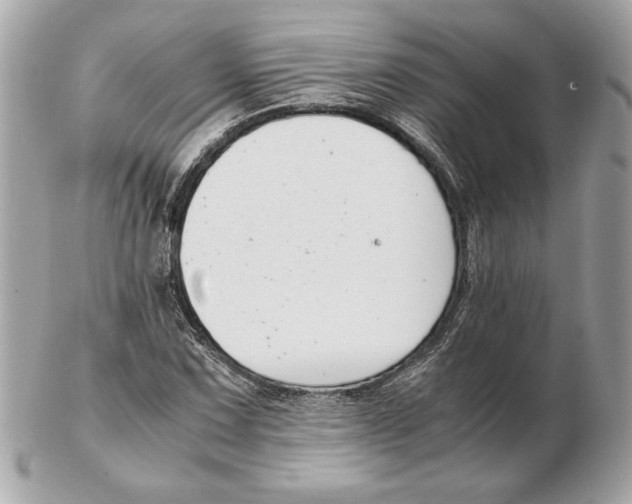 X0000102471067200808291559