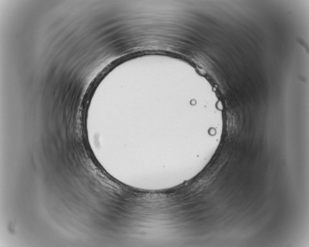 X0000102471068200808291559