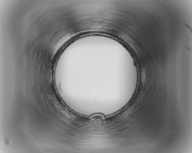 X0000102471069200808291559
