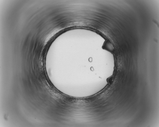 X0000102471070200808291559
