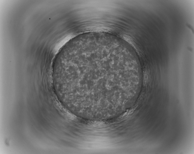 X0000102471071200808291559