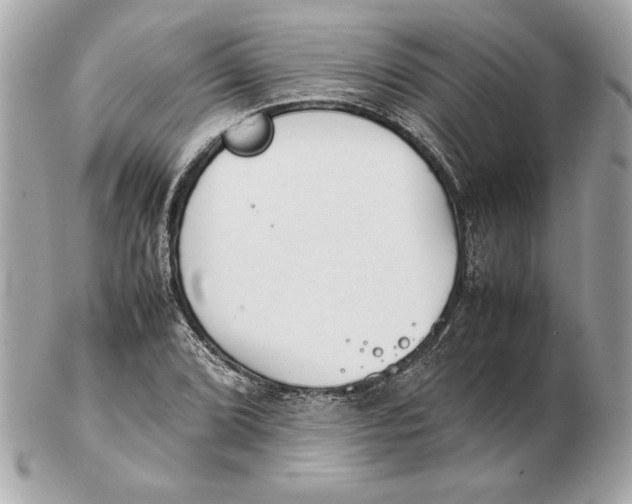X0000102471072200808291559