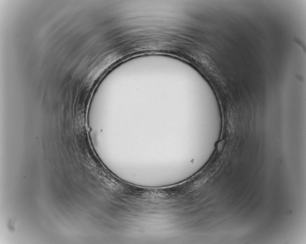 X0000102471073200808291559