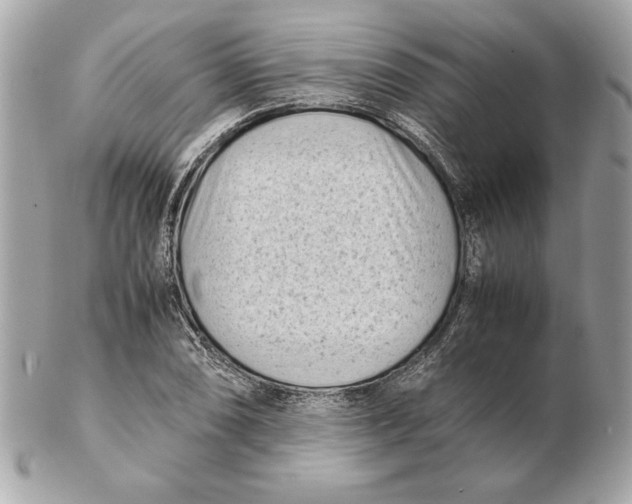 X0000102471074200808291559
