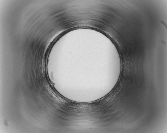 X0000102471076200808291559