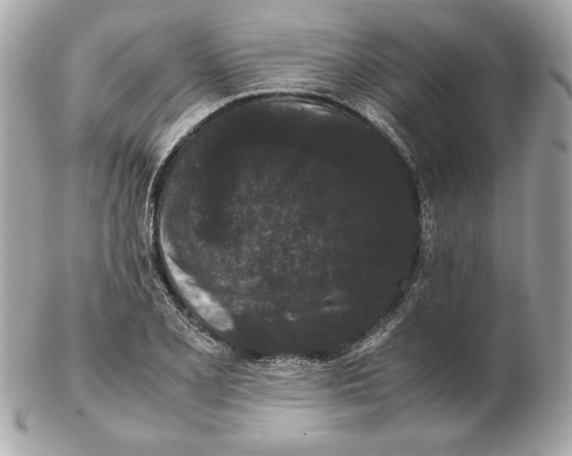 X0000102471077200808291559