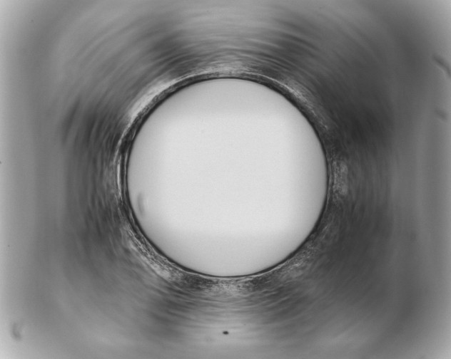 X0000102471078200808291559