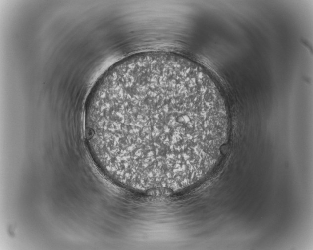 X0000102471079200808291559