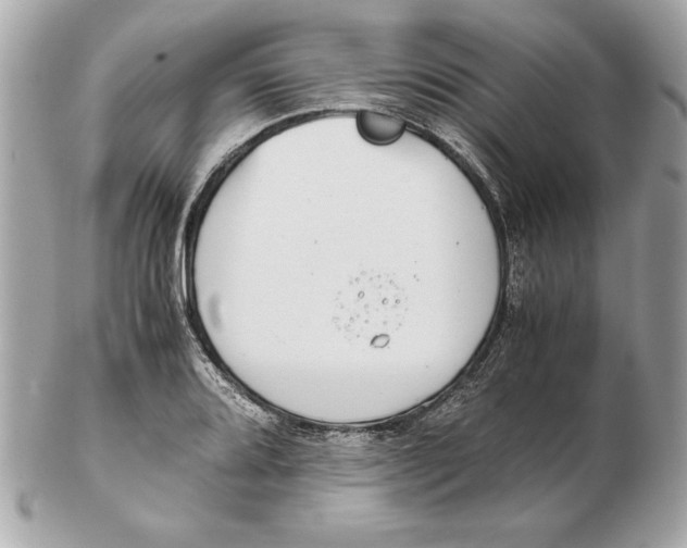 X0000102471080200808291559