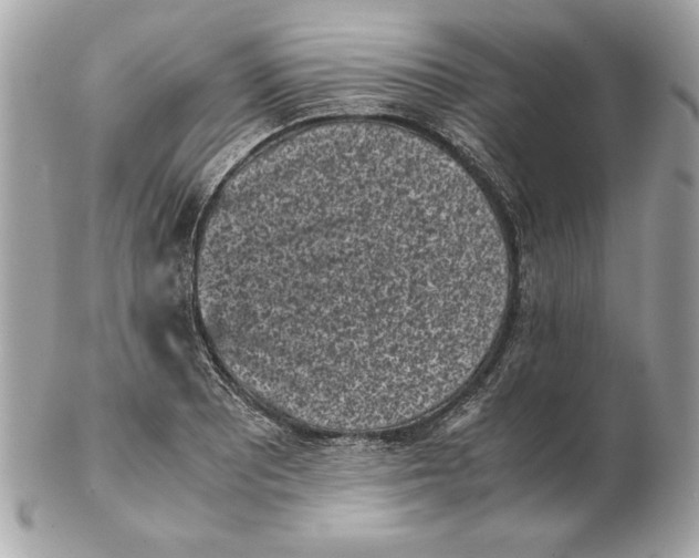 X0000102471081200808291559