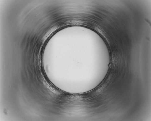 X0000102471082200808291559