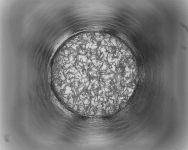 X0000102471083200808291559