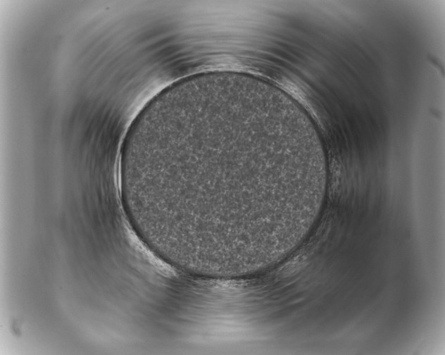 X0000102471084200808291559
