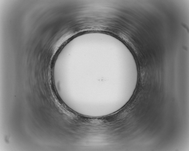 X0000102471085200808291559