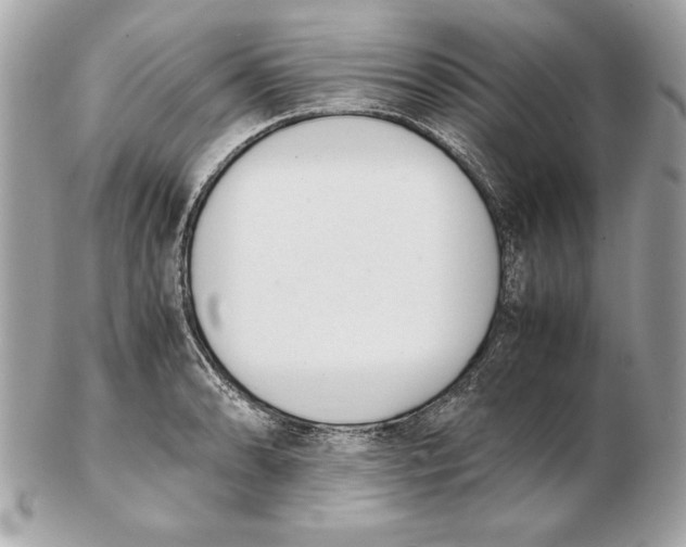 X0000102471086200808291559