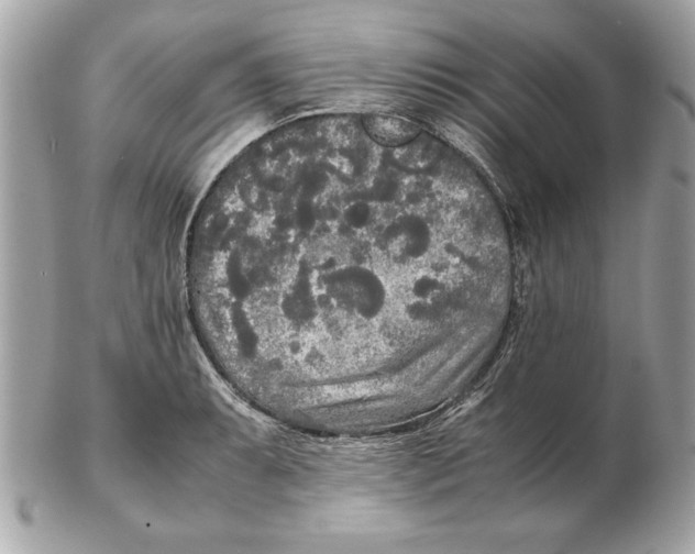 X0000102471087200808291559