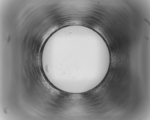 X0000102471090200808291559