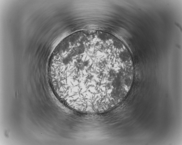 X0000102471091200808291559