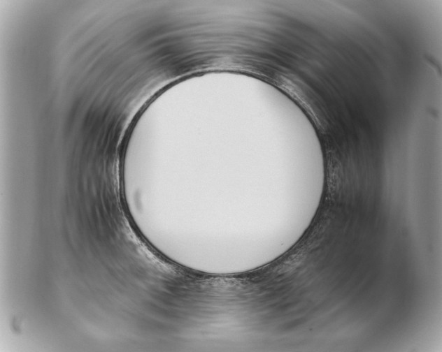 X0000102471092200808291559